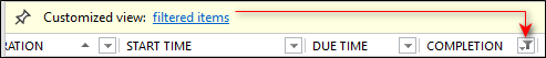 The Customized View Bar and a filter button in each column header cue when, and what, items are filtered