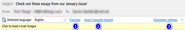 Email Translation Options